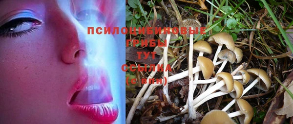прущий лед Армянск