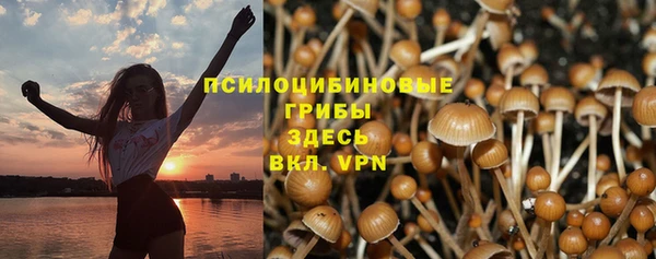 2c-b Аркадак