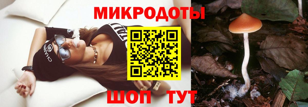 Галлюциногенные грибы MAGIC MUSHROOMS  Вход с VPN  Радужный 